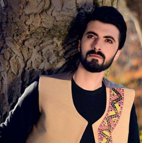 حمید قوی دل رفتی