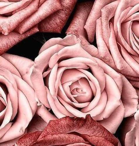 اهنگ من همونیم همونی که همیشه پشت خطتو من همونیم مزاحم عاشقیات و چتتو