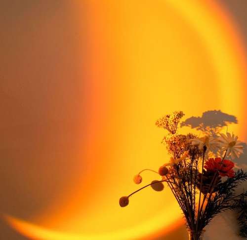 اهنگ این شده سرگرمی نمیخوایم برگردیم واسه هم سردردیم بی تو من