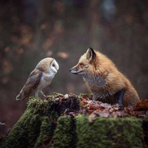 اهنگ هی سیری بهش بگو برگرده مغز رده وقتی دوری باش من نمیشم مودی