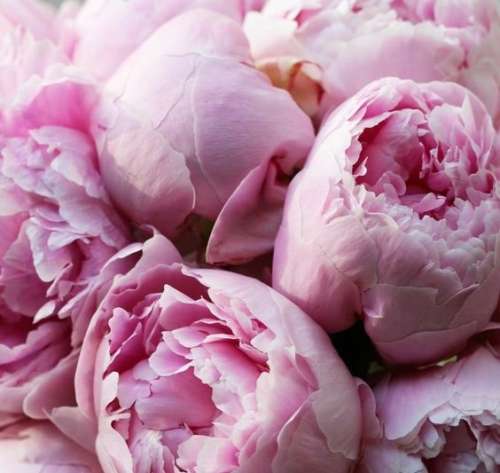 اهنگ بی تو من سردم نیست میدونم میگی یه روز موندیم ما باهم بزور