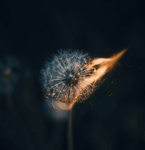 اهنگ  سپی ۶ ماه میاد شیش ماه میره نبودم من یه شوهر رسپانسیبل