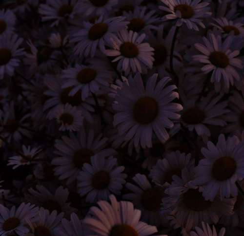 اهنگ پشت پنجره است تا تو زود بیای وقتی چشات خیس اینجا بارون میاد