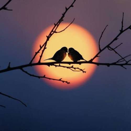 اهنگ هودیام میان به تو بیشتر از خودم جام فوت می‌کنی شمع و شب تولدم