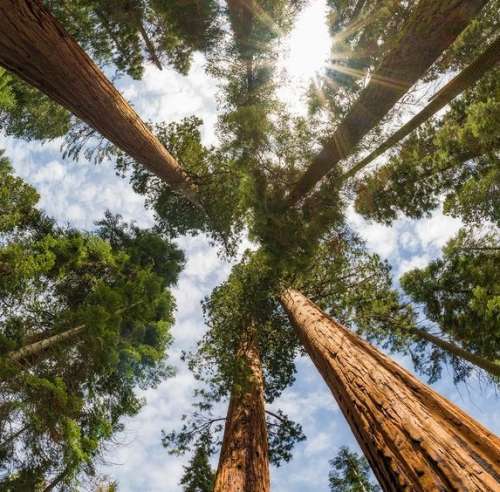 اهنگ عشق تو چشای تو برق میزنه میکنه میبره دلمو هرچی بگی باهات راه میام