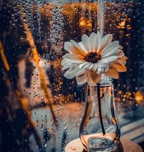 اهنگ بالاخره یادم میره تورو پاک میکنم عکسای تورو یه جا دل کندن و رفتن