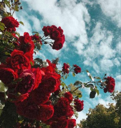 اهنگ یه روز ازین فاصله هامون تنها یه خاطره میمونه آینده سهم من و توئه