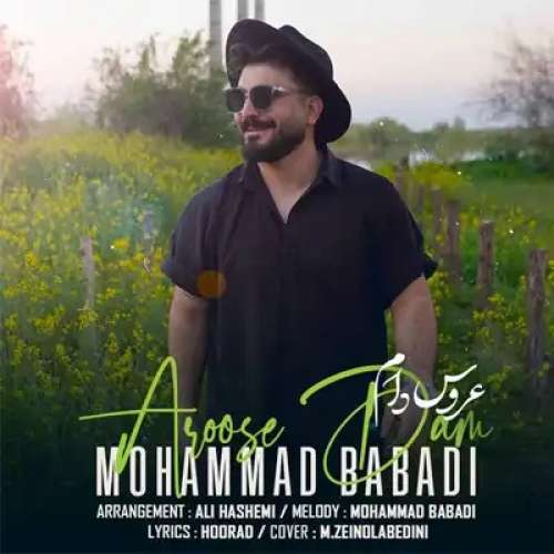 محمد بابادی عروس دام