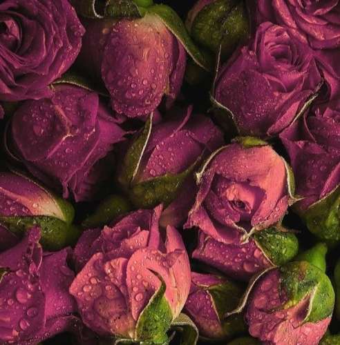 اهنگ اون چشات چه کاری داد دستم تا دیدم تو‌رو دلم برات یهو ضعف رفت