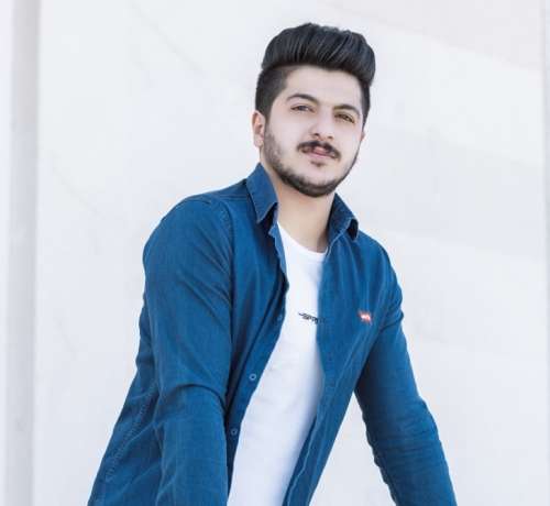 امیر سیاوشی شاه قلبم