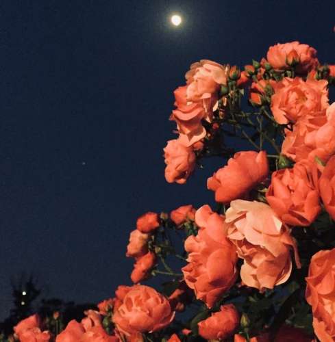 اهنگ تو مث دریایی و من آتیش لب ساحلم وای تورو چشم نکنن با تو