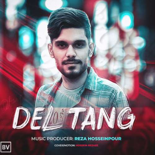 رضا حسین پور دلتنگ