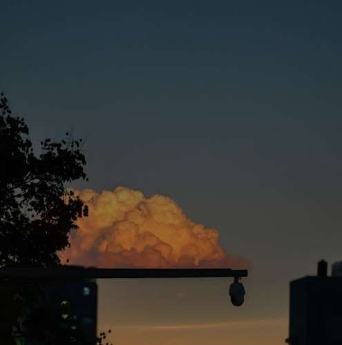 اهنگ وای دلم دلم دلم واسه تو میره خوشگلم