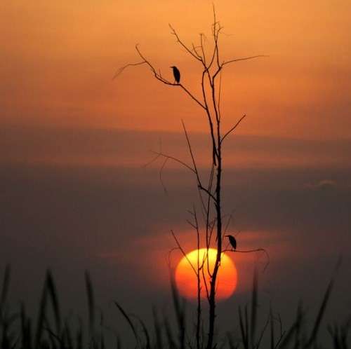 اهنگ هی زندگی کردنو یادم میره حتی یادم میره که یادم میره