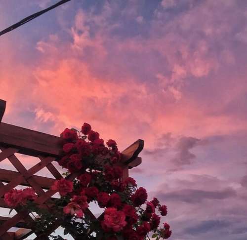 اهنگ با تو خوش و بش نکنن نمیرسه به پات اگه ماهو آرایش نکنن