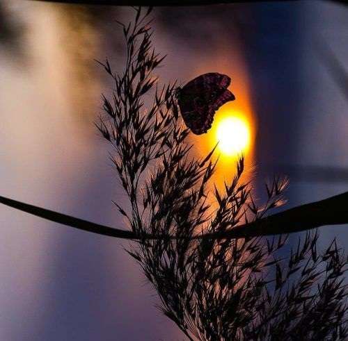 اهنگ چی میشه تهشو میدونم انگار سالهاست این مسیرو میرونم