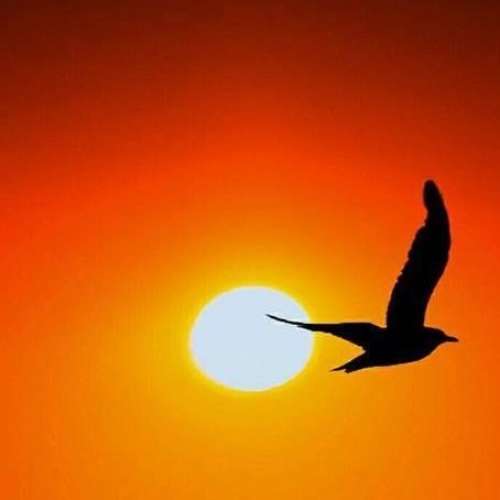 اهنگ واسه خاطر من کوتاه نیومدی یه لحظه اصلا رفتیو کردی تو دربه درم