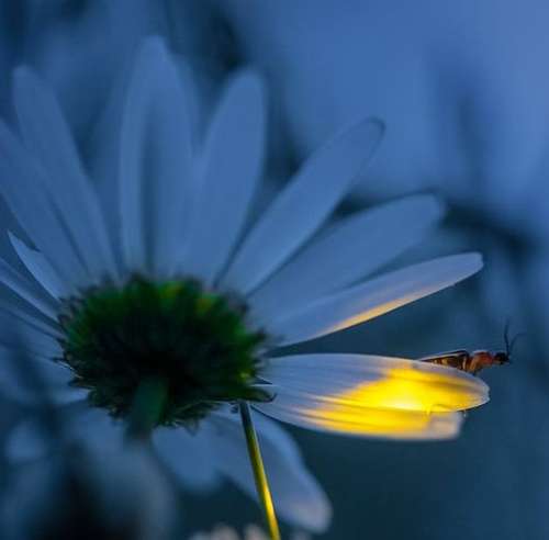 اهنگ مثل مهراد شل زیر نخلا ولم گوش من به این حرفا بدم