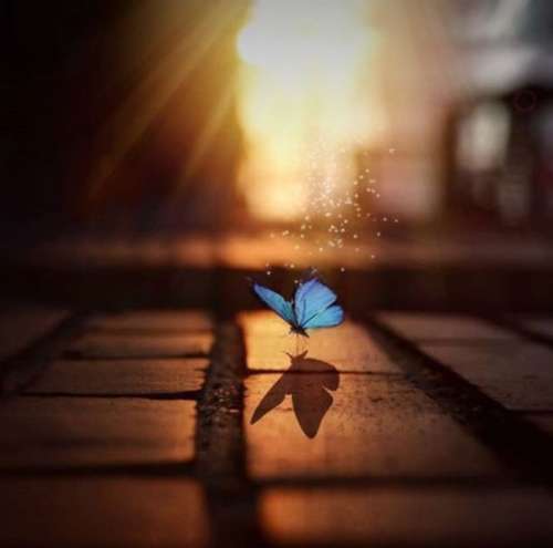 اهنگ میام باهات توی دانست رحم نداره که دانست امشبم زده شانست