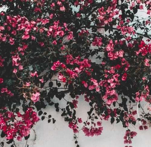 اهنگ باهم دیگه هستیم فابریک مثل باب اسفنجی پاتریک