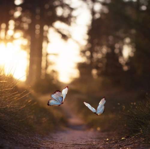 اهنگ مامانم میگفت معروف یه روز خیلی پسرم بهم میگفت موزیکات