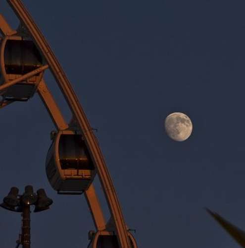 اهنگ سرت به سنگ میخوره برمیگردی این خط این نشون مثل یه گل