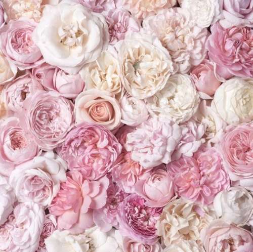 اهنگ دلم دوراشو زده قبلا هیچکی برام نمیشه تو اصلا