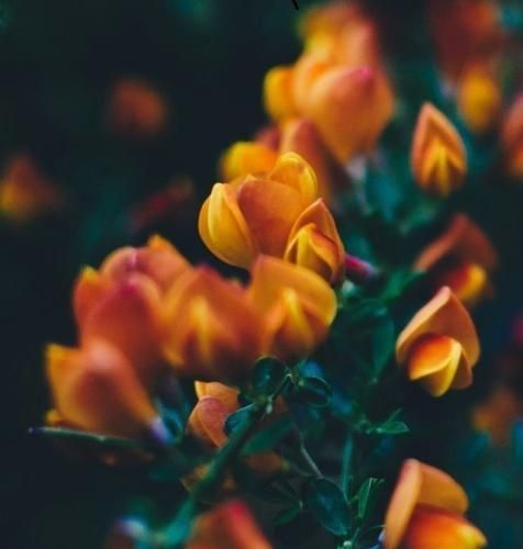 اهنگ قرص و سردرد و اشک رو گونه و هیشکی حال منو نمیدونه