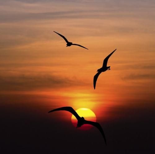 اهنگ مال منی بذار نگات کنم تورو تورو یه عالمه هر چی صدات کنم