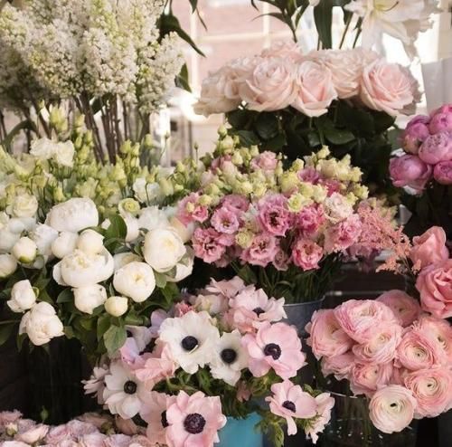 اهنگ اصلا هم رفیقت باشه خیره شم به نگاش یه جوری عاشقم که باورش