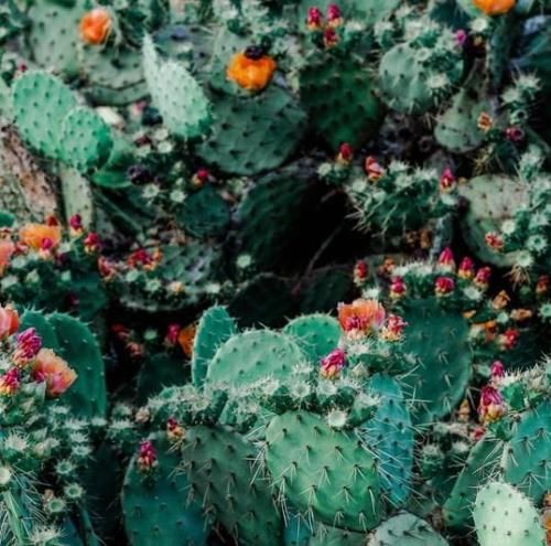 اهنگ تو کل آسمون شدی تو تک ستارم شدی دارو ندارم بیا هواتو دارم