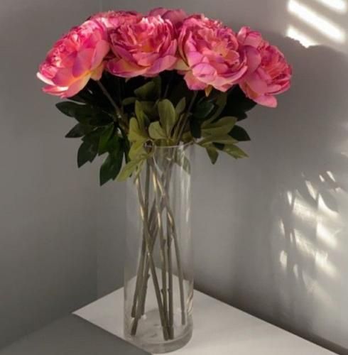 اهنگ رفتی دل‌ خوشیم این پیپره آدم سینگل میاد باید سینگل بره