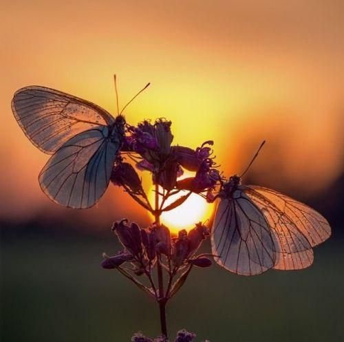 اهنگ ناراحت میشم اگه بهم ندی شمارتو میگم آخه چقدر بدی