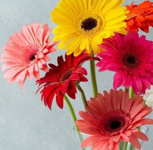 اهنگ آخ چقدر تنگه برات دل من ای همه جونم برسون دستاتو امشب که