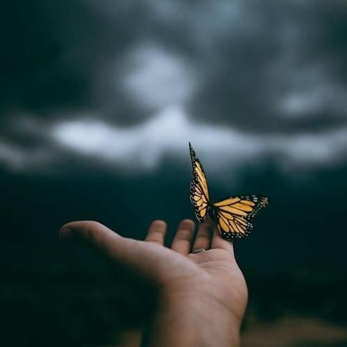 اهنگ مینویسم اسمتو رو سینم میبرم تورو تا ته رویا تورو باز تو رویا میبینم