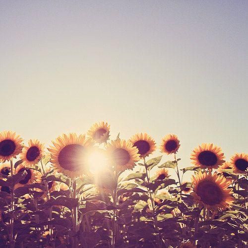 اهنگ چی فکر میکردم و چیشد گرفتی وقتمو بیخود رسیدیم باهم ته خط پس