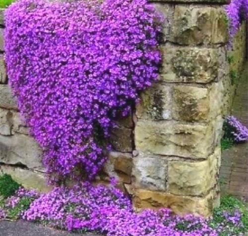 اهنگ آخرش رفتی بدون هیچ حرفی من هنوز روانیتم من هنو روانیتم