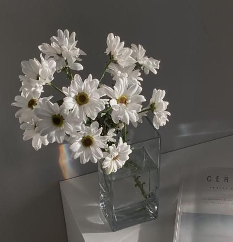 اهنگ امشب که تو پیش منی تو خواب رویایی من غرق تماشای توام عشق تماشایی