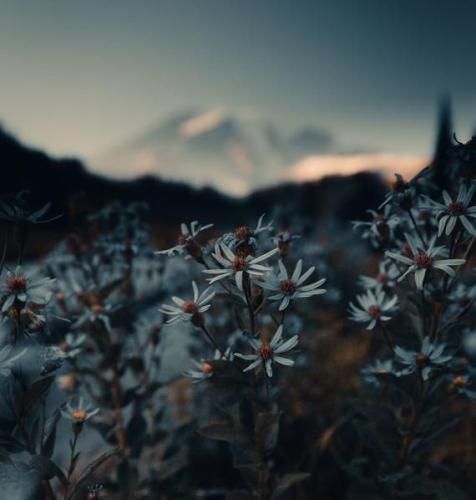 اهنگ من از اونام که تو جمعا نمی خنده بلند و با یه چشمک تنمو نمیدم به تو
