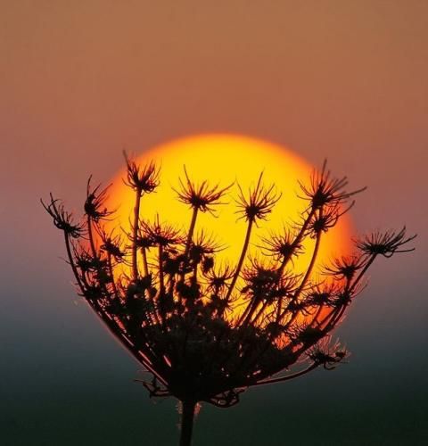 اهنگ یا نگات بره سمت گوشی ما محاله با کسی غیر هم بجوشیم