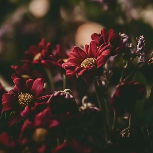 ایوان باند الا تو فقط بلا تو فقط رو تو قفلی زدم یالا تو فقط حالا بزن و برقص بیا