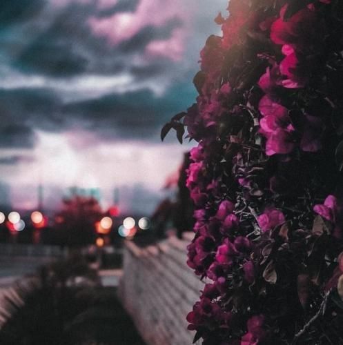 اهنگ تو که از این من تنها چیزی یادت نمیمونه نشستم پشت این شیشه