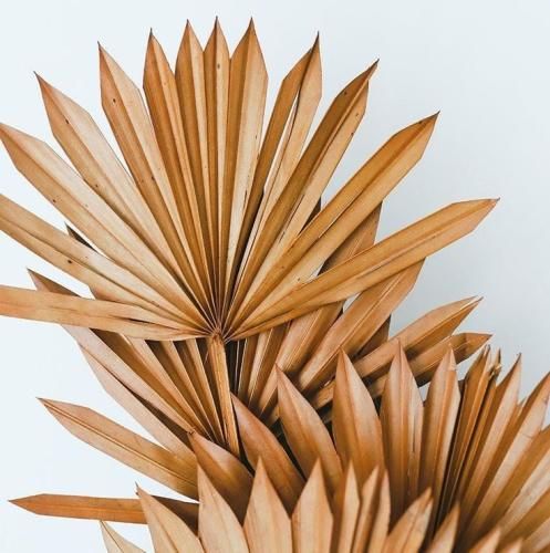 اهنگ میشه یکی رقیبت باشه که چشاش شبیهت باشه