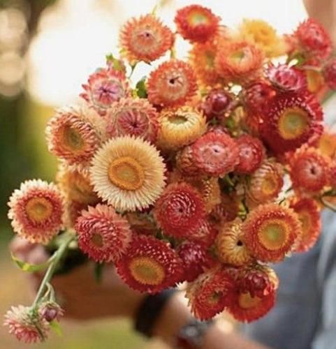 اهنگ واسه آخرین بار تورو میبوسم میبوسم با بغض بعدم میرم