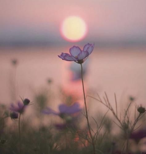 اهنگ تو اون شب بن بست که بغض کرد و شکست شبی که ساکشو بست نگاه کردی