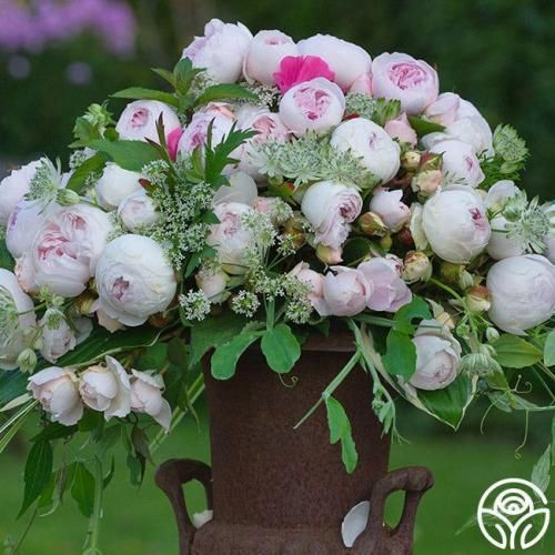 اهنگ بریم اونور سرزمینای عجیب از همه قایم کنیم غصه مونو نشون بدیم