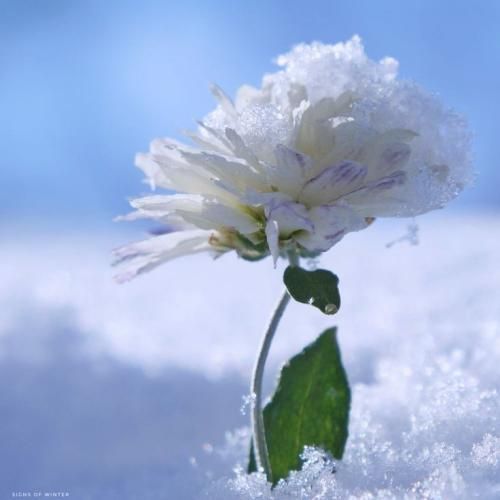 اهنگ نگاهم سمت بارونه چقدر دلتنگتم الان خدا غیر از تو میدونه