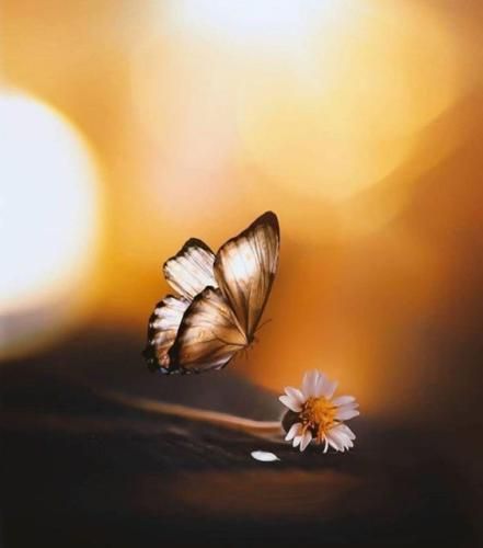 اهنگ دلشو ندارم نبینمت یه روز من فقط دست توئه شماره جدیدم