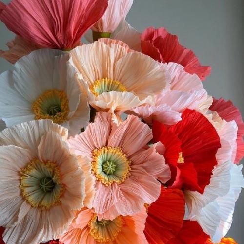 اهنگ بگو دیگه چرا پرواز نمیکنی تو که زیباترین پروانه ای بیا روی دستام بشین