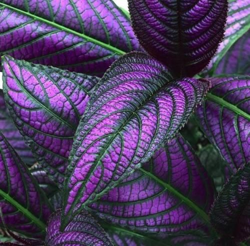 اهنگ از دنیات متنفرم برگردون جوونیمو به من یا که به منم عذاب میدی